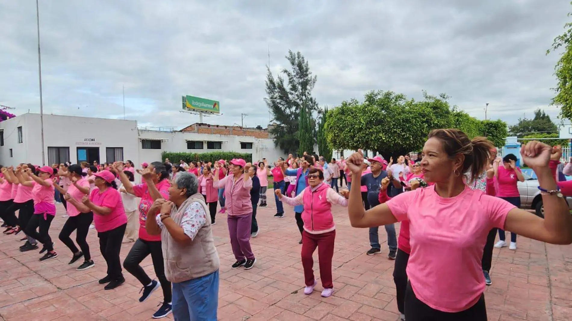 activacion (2)